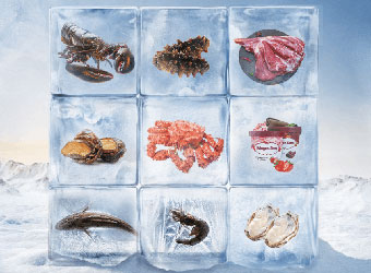 Seafood machine constant temperature equipment