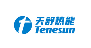 Tenesun